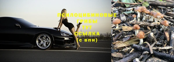 круглые Елизово