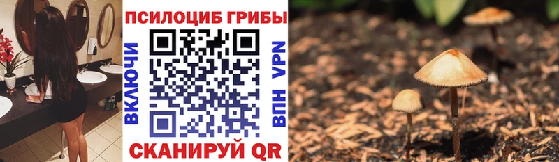 Псилоцибиновые грибы мицелий  Себеж 